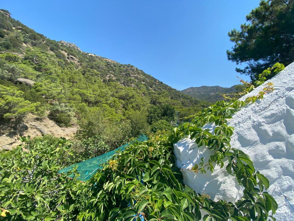 Oleander'S Garden Traditional Cretan Cottage フェルマ エクステリア 写真