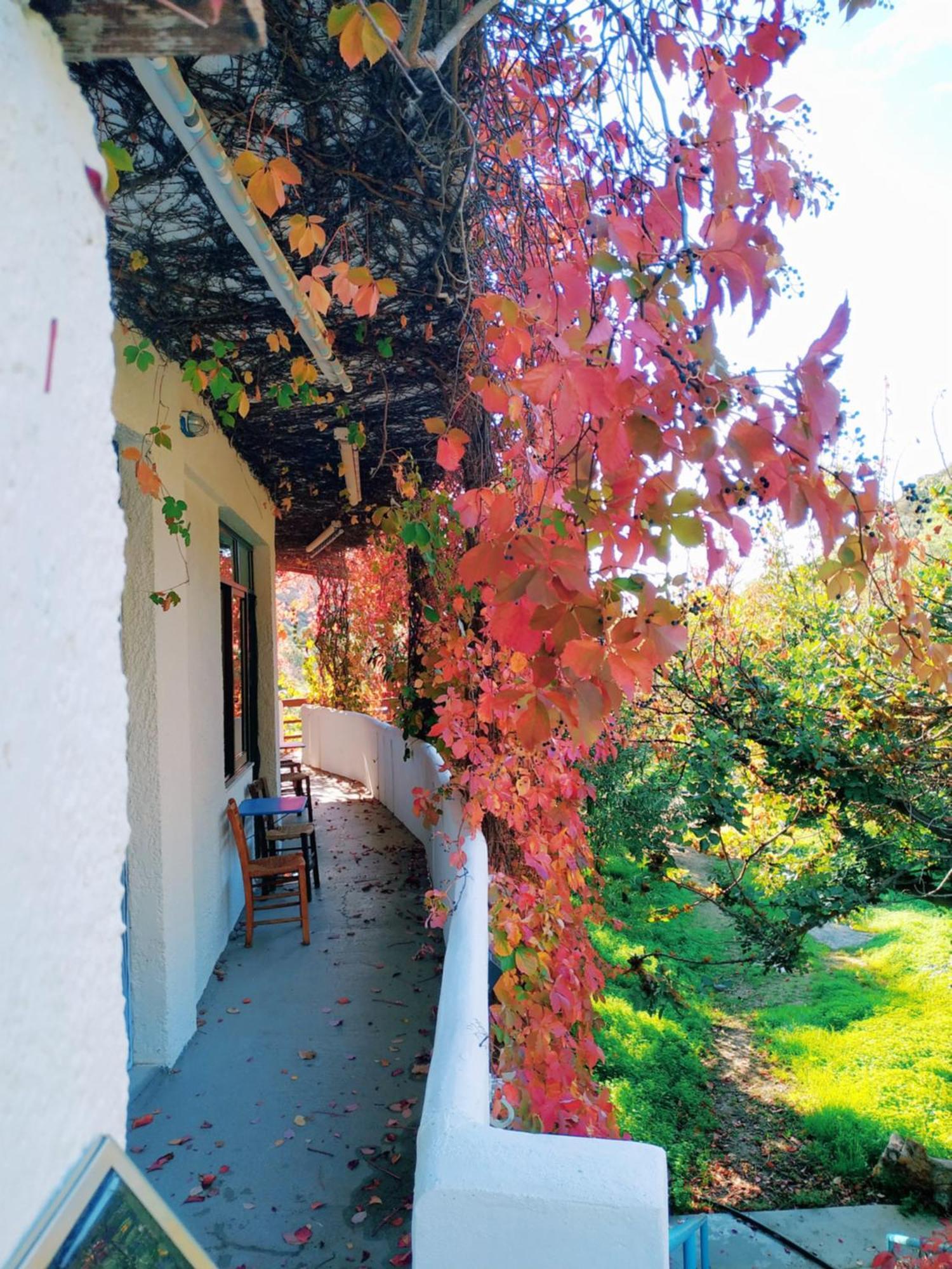Oleander'S Garden Traditional Cretan Cottage フェルマ エクステリア 写真