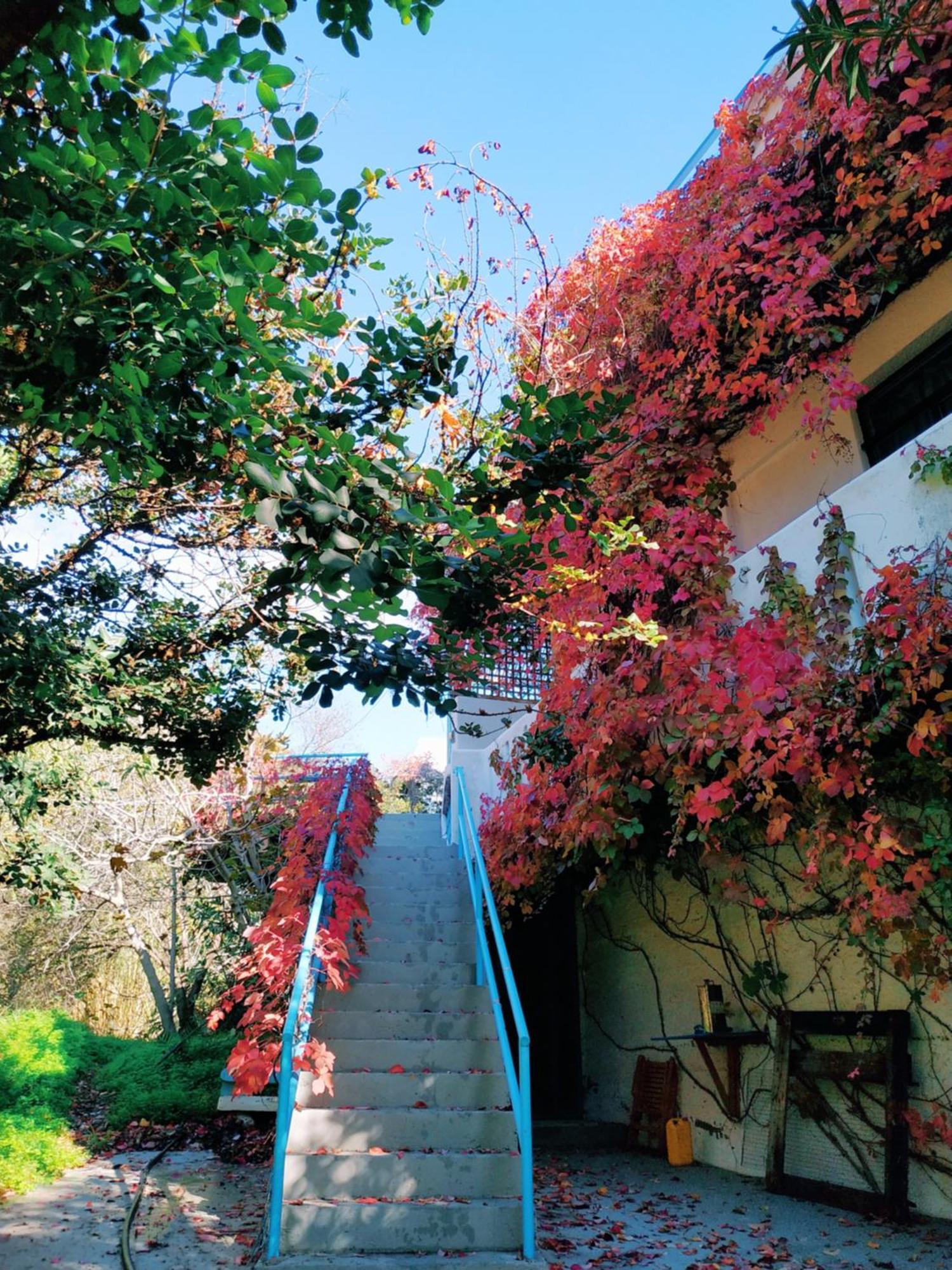 Oleander'S Garden Traditional Cretan Cottage フェルマ エクステリア 写真