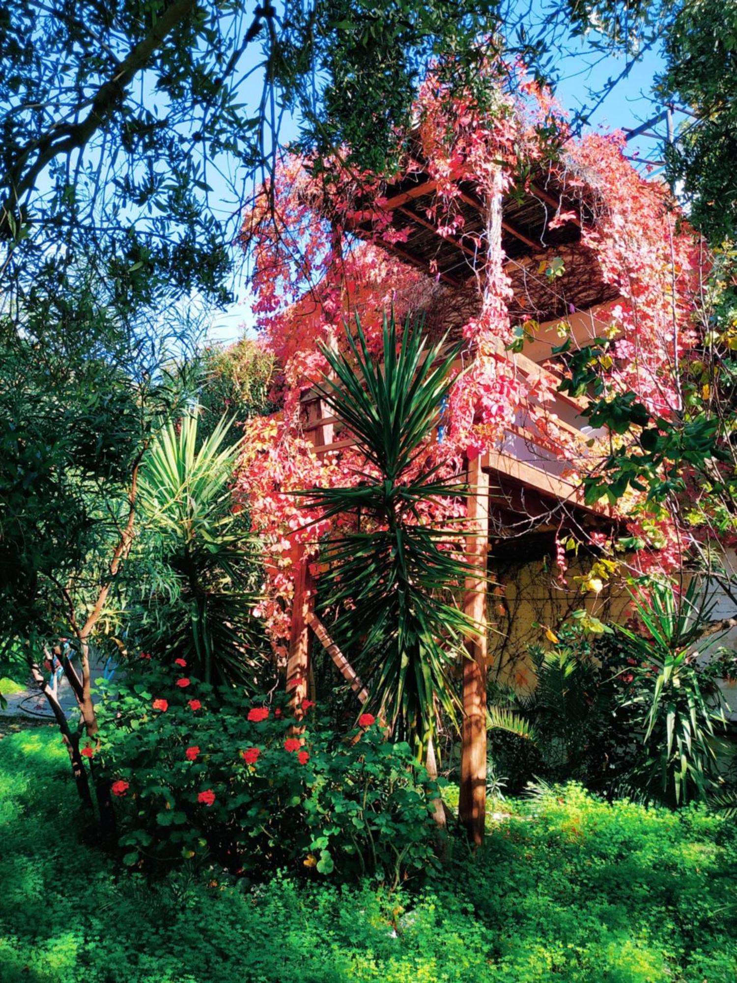 Oleander'S Garden Traditional Cretan Cottage フェルマ エクステリア 写真