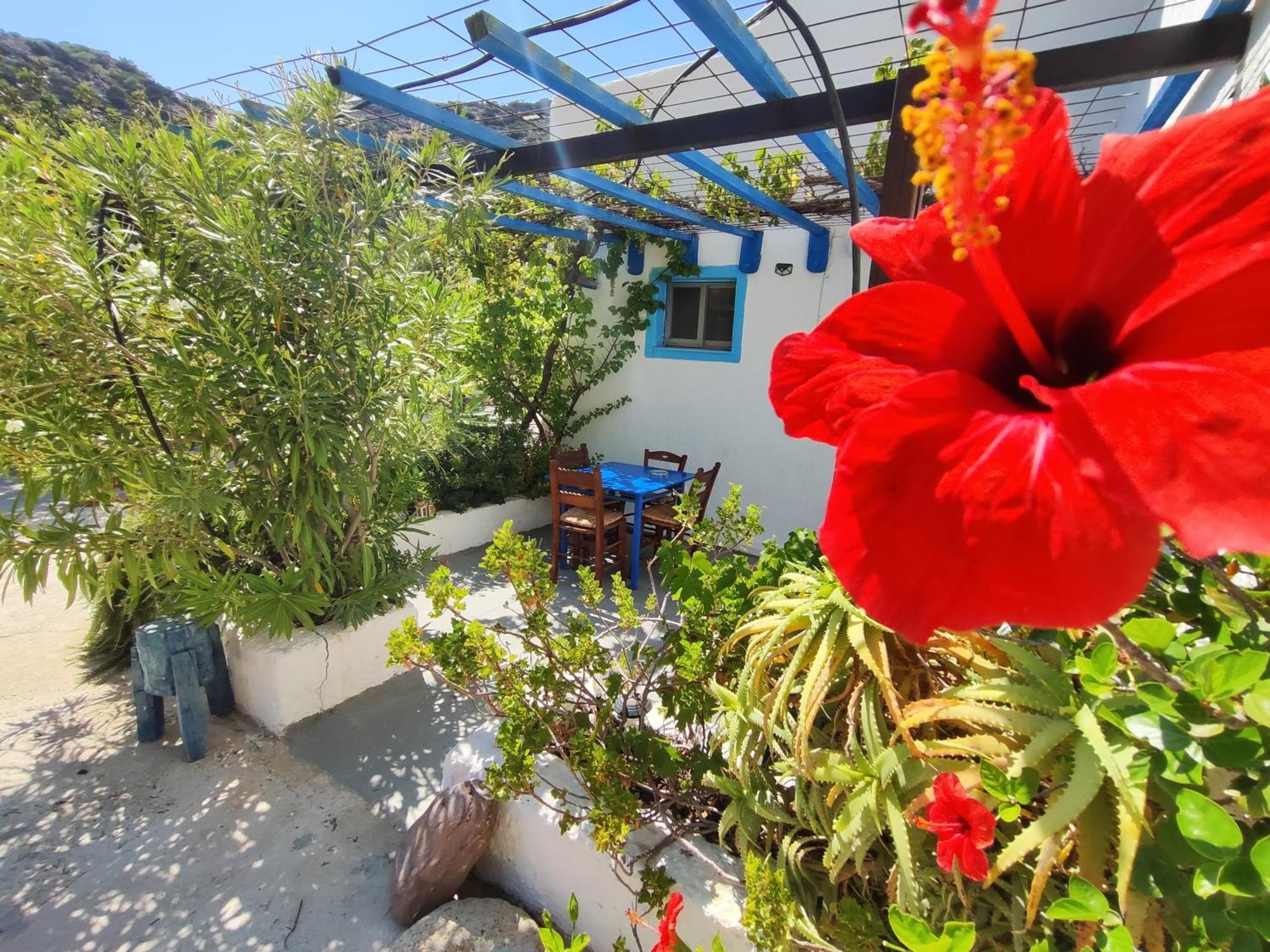 Oleander'S Garden Traditional Cretan Cottage フェルマ エクステリア 写真