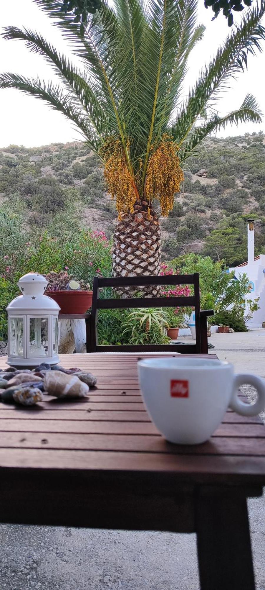 Oleander'S Garden Traditional Cretan Cottage フェルマ エクステリア 写真