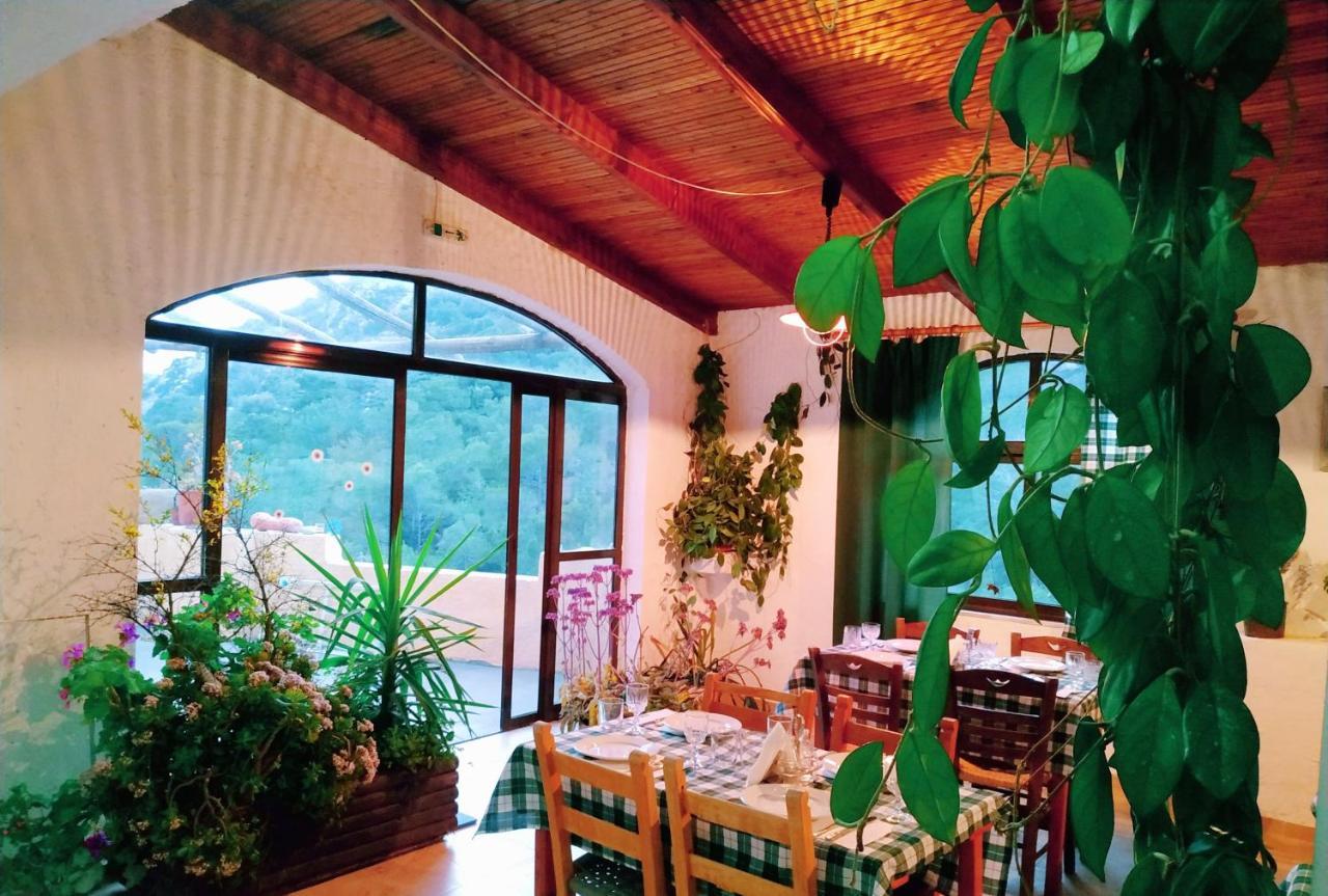 Oleander'S Garden Traditional Cretan Cottage フェルマ エクステリア 写真
